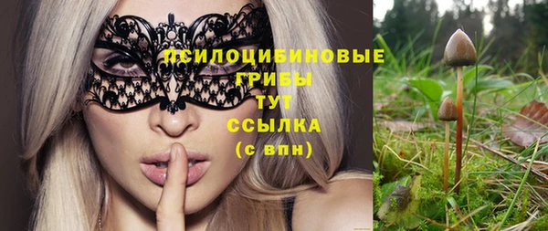 метадон Козельск